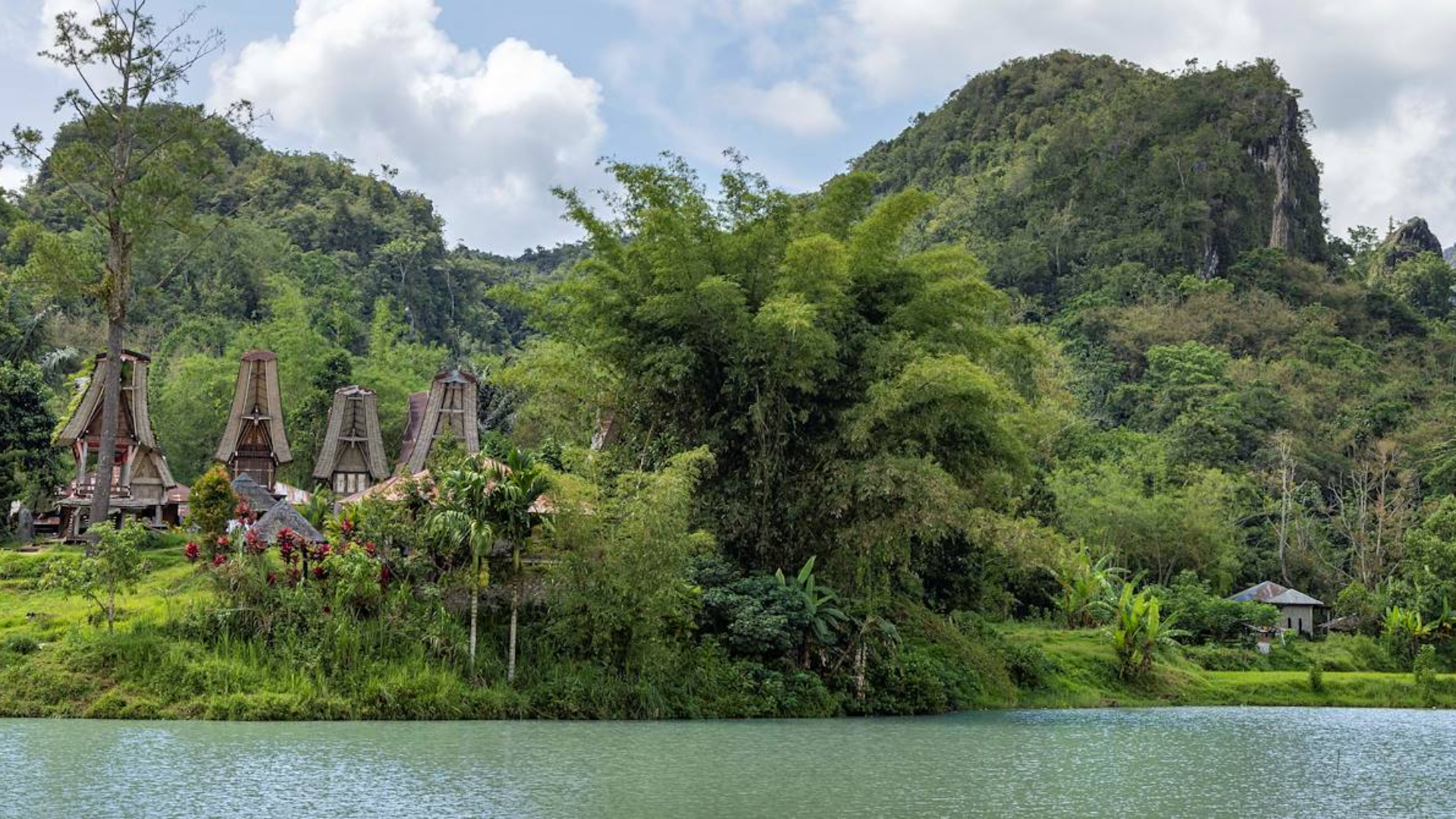 Découverte Sulawasi