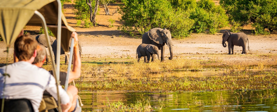 Interview au Botswana