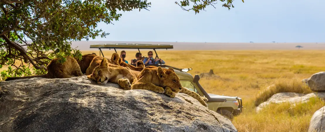 Voyage Tanzanie